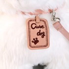 Мягкая игрушка «Собака», с поводком, 24 см, белая - Фото 3