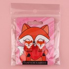 Клипсы «Лисички» 6×9 см - фото 38843934