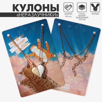 Кулоны парные на цепочке на магните «Мир», 45 см, миксы