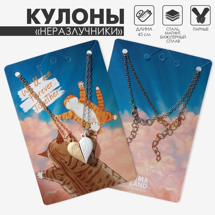 Кулоны парные на цепочке на магните «Мир», 45 см, миксы - Фото 1
