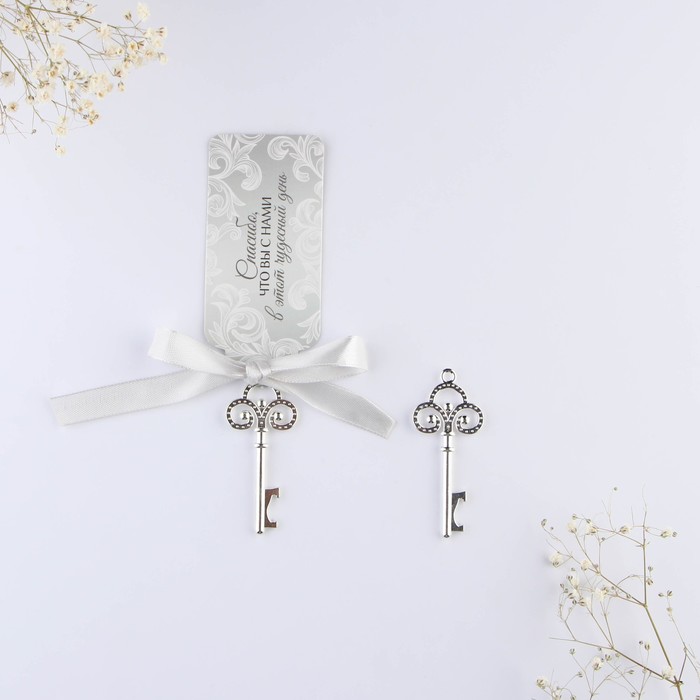 Сувенир ключ-открывалка «Подарок гостям», цвет серебро, 6,5 х 0,3 х 2,7 см - Фото 1