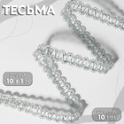 Тесьма декоративная, 10 мм, 10 ± 1 м, цвет серебряный - Фото 1