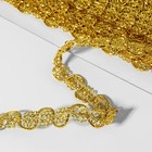 Тесьма декоративная, 12 мм, 10 ± 1 м, цвет золотой - Фото 2