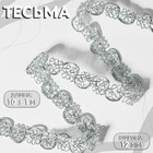 Тесьма декоративная, 12 мм, 10±1 м, цвет серебряный - Фото 1