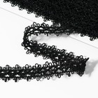 Тесьма декоративная, 20 мм, 10 ± 1 м, цвет чёрный - Фото 2