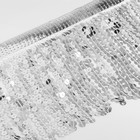 Тесьма с пайетками «Бахрома», d = 6 мм, 15 см, 4,5 ± 0,5 м, цвет серебряный - Фото 1