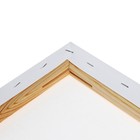 Холст на подрамнике 1.6×100×120 см, Calligrata, хлопок 100%, акриловый грунт, среднезернистый, 380 г/м² - Фото 5