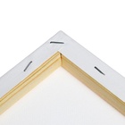 Холст на подрамнике 1.6×15×15 см, Calligrata, хлопок 100%, акриловый грунт, мелкозернистый, 280 г/м² - Фото 5