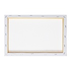 Холст на подрамнике Calligrata, хлопок 100%, 1.6×20×30 см, акриловый грунт, мелкозернистый 280 г/м² - Фото 4