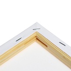 Холст на подрамнике Calligrata, хлопок 100%, 1.6×20×30 см, акриловый грунт, мелкозернистый 280 г/м² - Фото 5