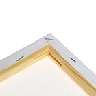 Холст на подрамнике, хлопок 100%, 1.6×30×30 см, акриловый грунт, мелкозернистый, 280 г/м² - Фото 4