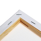 Холст на подрамнике Calligrata, хлопок 100%, 1.6×30×40 см, м/з 280 г/м², грунтованный, акриловый, мелкозернистый - Фото 5