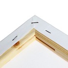 Холст на подрамнике, хлопок 100%, 1.6×60×60 см, акриловый грунт, среднезернистый, 380 г/м² - Фото 5