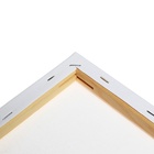 Холст на подрамнике хлопок 100%, 1.6×35×45 см, акриловый грунт, мелкозернистый, 280 г/м² - Фото 5