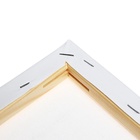 Холст на подрамнике, хлопок 100%, 1.6×25×35 см, акриловый грунт, мелкозернистый, 280 г/м² - Фото 5