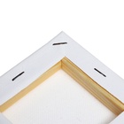 Холст на подрамнике хлопок 100% акрил грунт 1,0*10*10 см, с/з 380 г/м2 - Фото 5