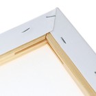 Холст на подрамнике, хлопок 100%, 1.6×80×100 см, акриловый грунт, среднезернистый, 380 г/м² - Фото 5