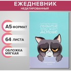 Ежедневник недатированный на склейке А5 64 листов, мягкая обложка "Сердитый котик" - фото 937546