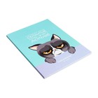 Ежедневник недатированный на склейке А5 64 листов, мягкая обложка "Сердитый котик" - Фото 3