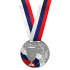 Медаль призовая 013 диам 5 см. 2 место, триколор. Цвет сер. С лентой - фото 3788375