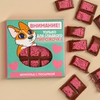 Шоколад «Только для сладкого пирожочка» с розовой посыпкой, 50 г. - фото 320386682