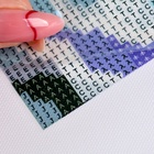 Алмазная мозаика с частичным заполнением на холсте «Танец», 30×40 см - Фото 5