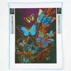 Алмазная мозаика с полным заполнением на холсте «Бабочки», 30×40 см - Фото 2
