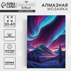 Новогодняя алмазная мозаика с полным заполнением на холсте «Новый год. Северное сияние», 30 х 40 см 9605299 - фото 13304518