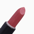 Помада для губ JEANMISHEL 3D эффект тон 06 кораллово-коричневый, 14 г - Фото 2