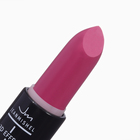 Помада для губ JEANMISHEL 3D эффект тон 11 бургундский, 14 г - Фото 2