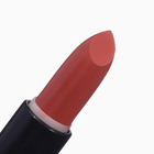 Помада для губ JEANMISHEL SATIN CREAM TEXTURE тон 09 кораллово-коричневый, 14 г - Фото 2