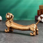 Фигура "Собака Такса" бронза, 9х20х6см - Фото 3