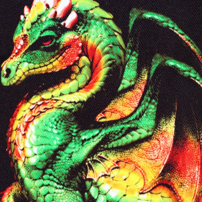 Набор "Дракон", прихватка и рукавица, рис. 2 - фото 1884352556