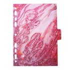 Разделитель листов A5 (175×210 мм) цветовой, 5 листов, "deVENTE. Marandi. Sparkl" полипропилен 140 мкм, искрящаяся фактура, с рисунком, индивидуальная упаковк�... - Фото 6