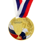 Медаль призовая 013 диам 5 см. 1 место, триколор. Цвет зол. С лентой - фото 8243463