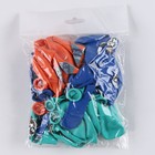 Воздушные шары латексные 12" «С днём рождения. Пёс», 25 шт. 9854757