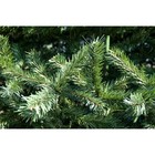 Ёлка искусственная Green trees «Альпийская», хвоя-плёнка, цвет зелёный, 4 м - Фото 3