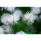Сосна искусственная Green trees «Альпийская», хвоя-леска, цвет зелёный, с белыми кончиками, 3 м - Фото 3