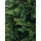 Ёлка искусственная Green trees «Сказочная», премиум, ствольная, 3 м - Фото 3