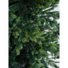 Ёлка искусственная Green trees «Сказочная», премиум, ствольная, 5 м - Фото 11