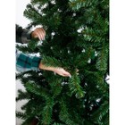 Ёлка искусственная Green trees «Рублевская», ствольная, хвоя-плёнка, цвет зелёный, 3 м - Фото 5