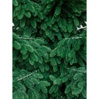 Ёлка искусственная Green trees «Норвежская», люкс, ствольная, цвет зелёный, 2.7 м - Фото 11