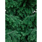 Ёлка искусственная Green trees «Норвежская», люкс, ствольная, цвет зелёный, 2.7 м - Фото 11