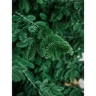 Ёлка искусственная Green trees «Норвежская», люкс, ствольная, цвет зелёный, 3.7 м - фото 119014533