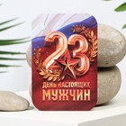 Ароматизатор в машину «23 Февраля», аромат новая машина - Фото 3