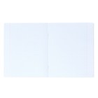 Тетрадь 12 листов в клетку ErichKrause "Capybara Travel", выборочный УФ-лак (комплект 10 шт) - фото 24265351