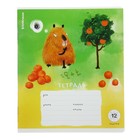 Тетрадь 12 листов в клетку ErichKrause "Capybara Travel", выборочный УФ-лак (комплект 10 шт) - фото 24265354