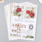 Набор декупажных карт 6 шт «Розы Винтаж» - фото 24442699