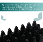 Кассета для рассады, 32 ячейки по 150 мл, пластик, чёрная, 51 × 28 × 10 см, Greengo 9683171 - фото 2503806