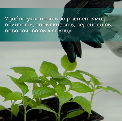 Кассета для рассады, 50 ячеек по 100 мл, пластик, чёрная, 54×27×8 см, Greengo